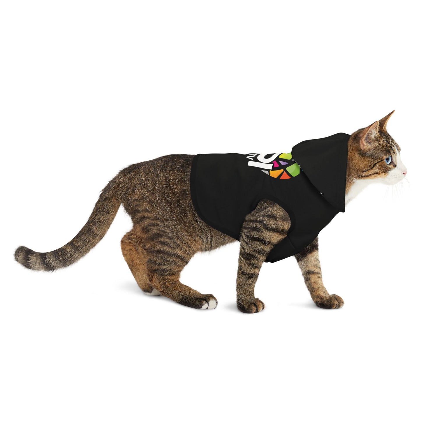 Sudadera VPItv para mascotas – ¡Estilo y comodidad para tu mejor amigo!