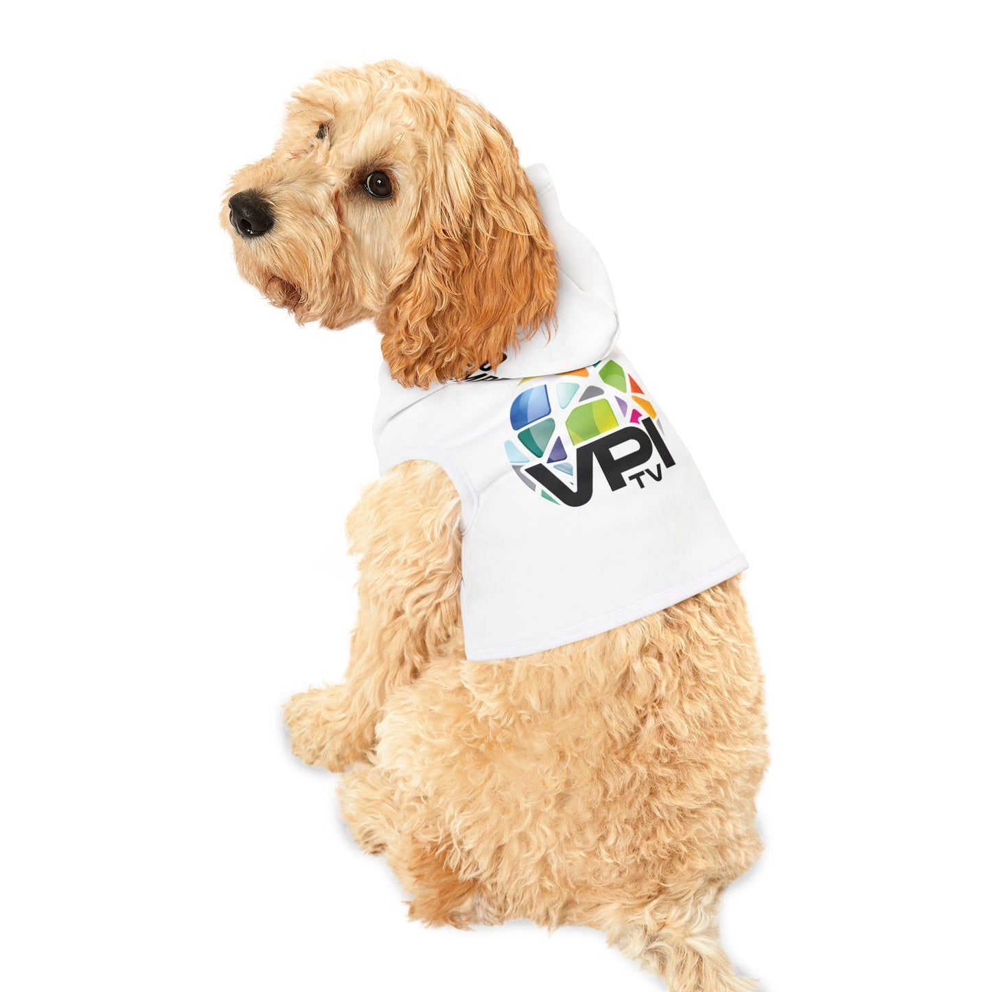 Sudadera VPItv para mascotas – ¡Estilo y comodidad para tu mejor amigo!