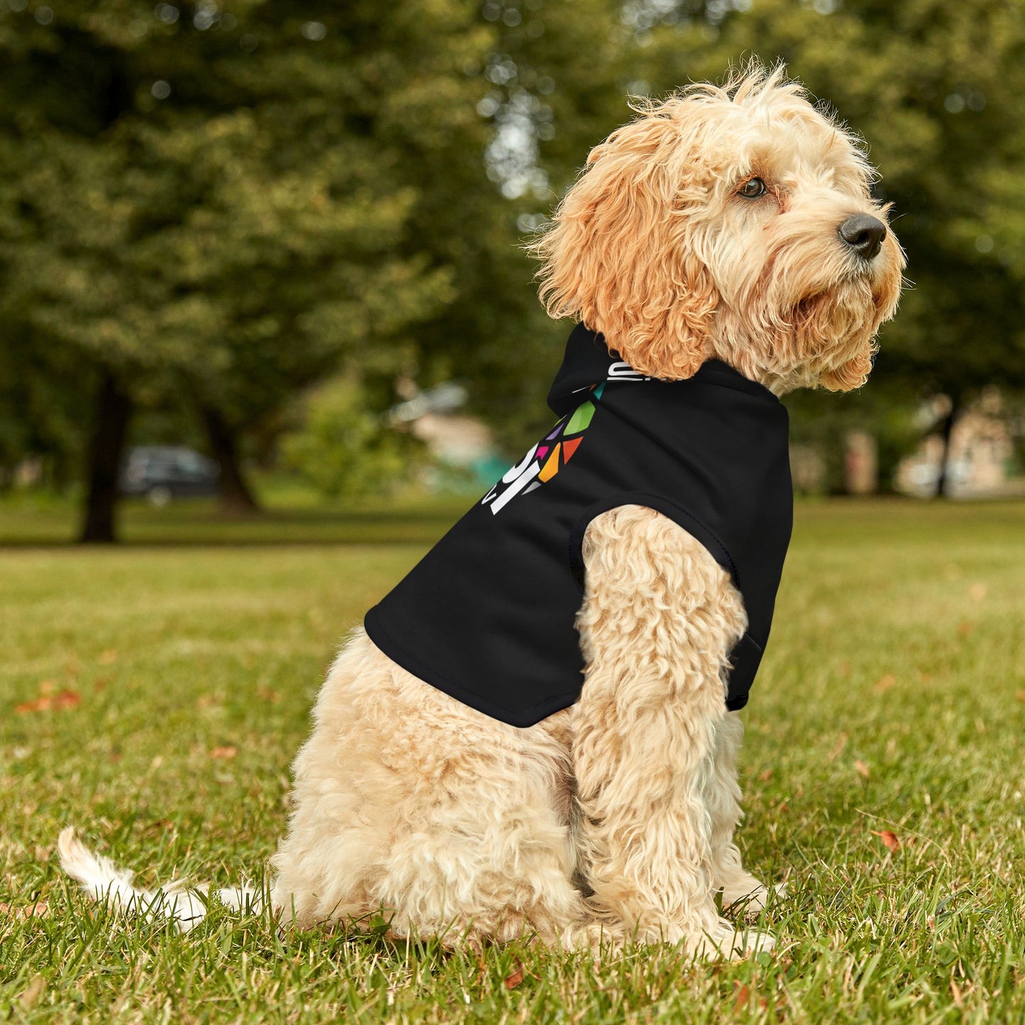 Sudadera VPItv para mascotas – ¡Estilo y comodidad para tu mejor amigo!