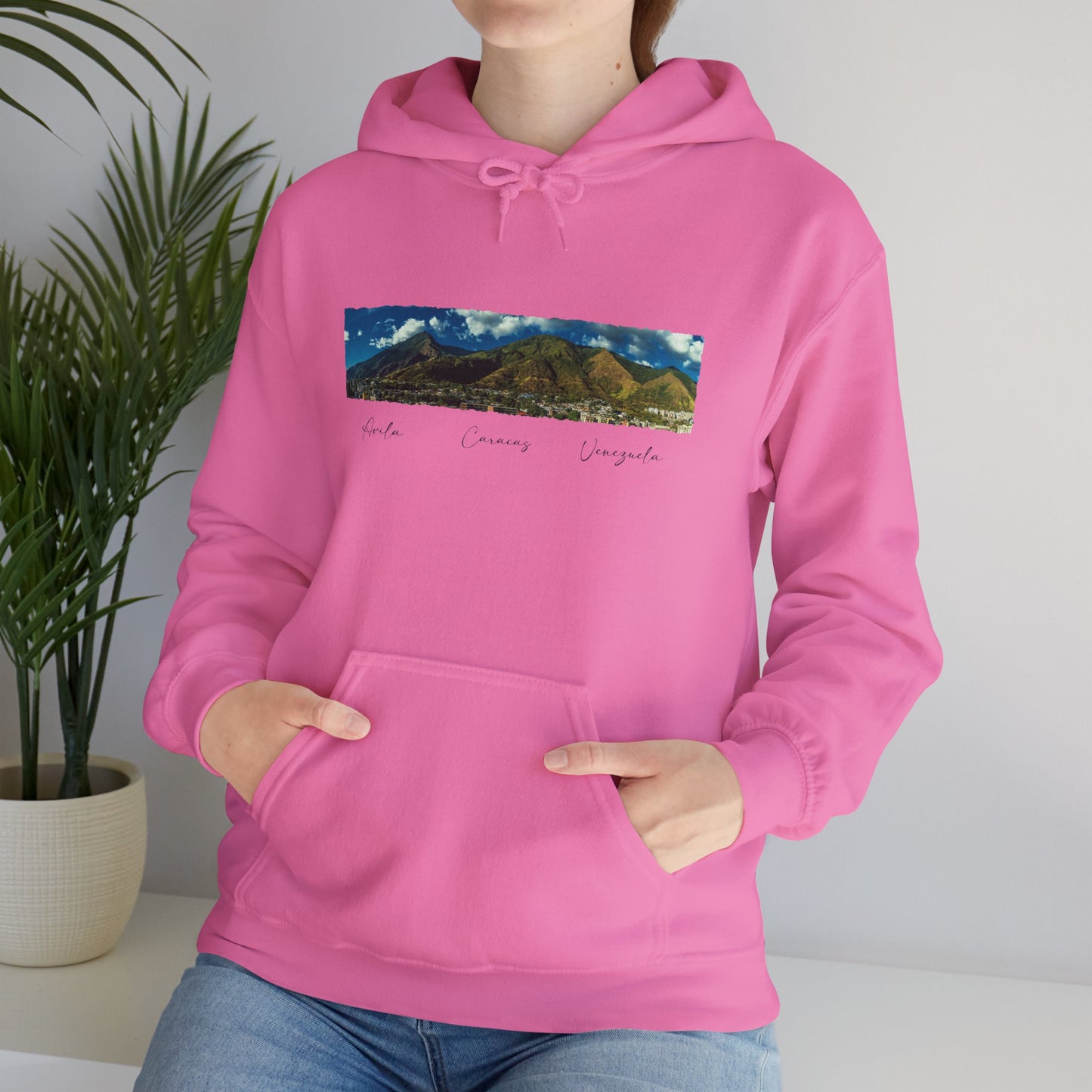 Mountain View Unisex Hoodie - Cozy Heavy Blend Sweatshirt for Nature Lovers