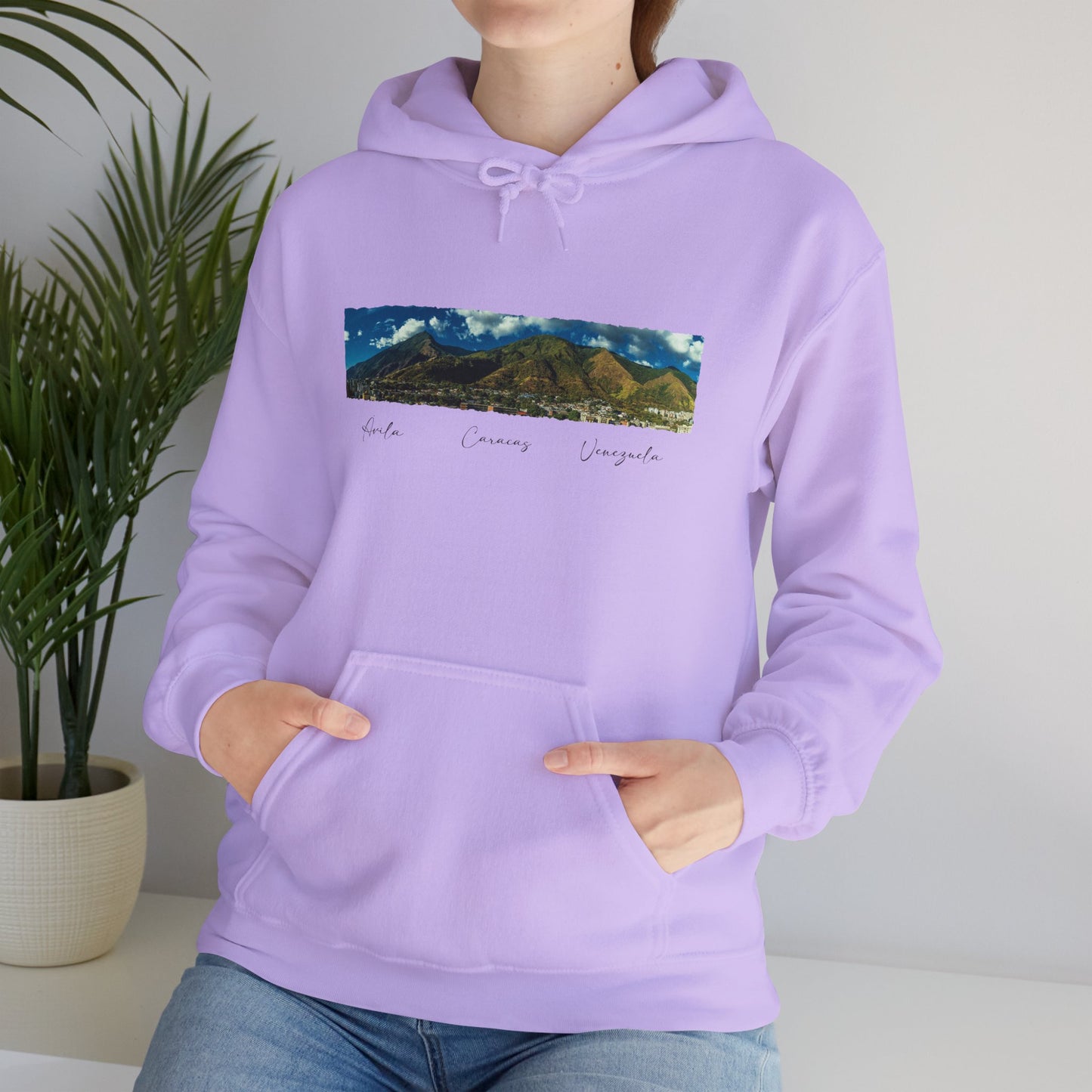 Mountain View Unisex Hoodie - Cozy Heavy Blend Sweatshirt for Nature Lovers