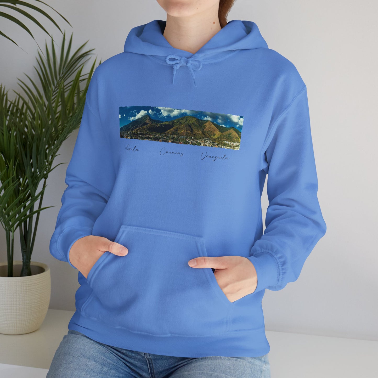 Mountain View Unisex Hoodie - Cozy Heavy Blend Sweatshirt for Nature Lovers