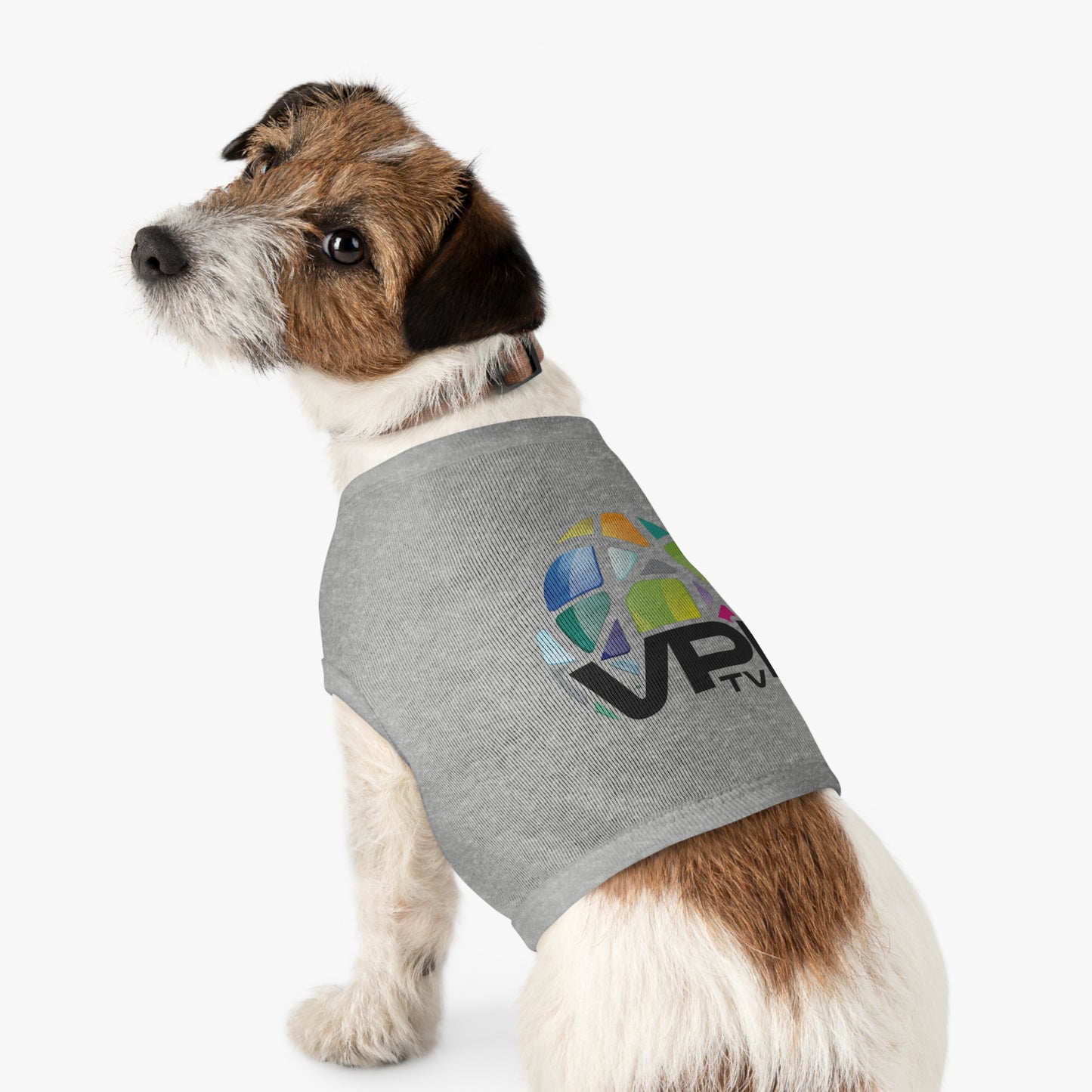 Ropa personalizada para mascotas – Comodidad y estilo para tu mejor amigo