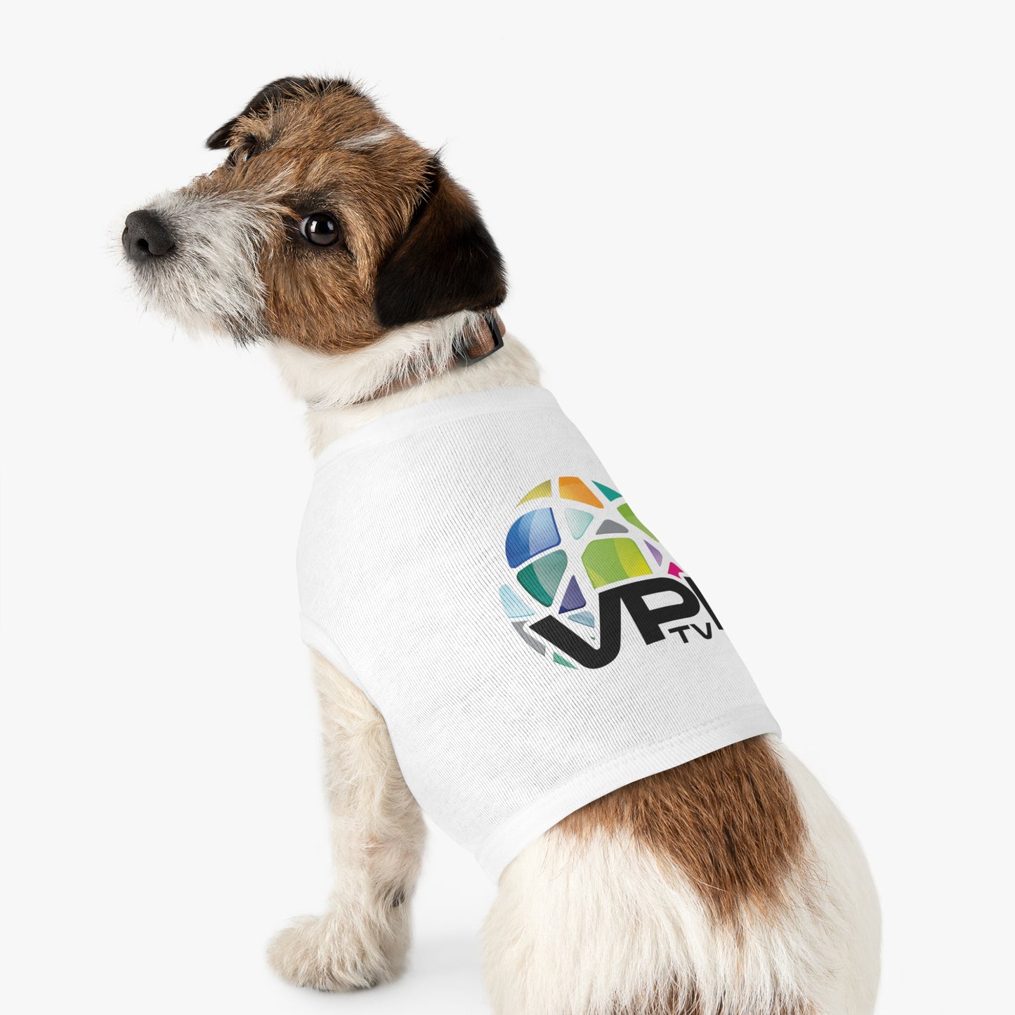 Ropa personalizada para mascotas – Comodidad y estilo para tu mejor amigo